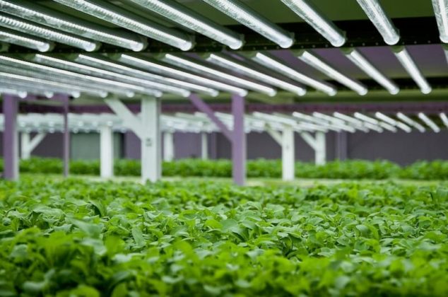 CPower, Scale Microgrid partnering on indoor farming project