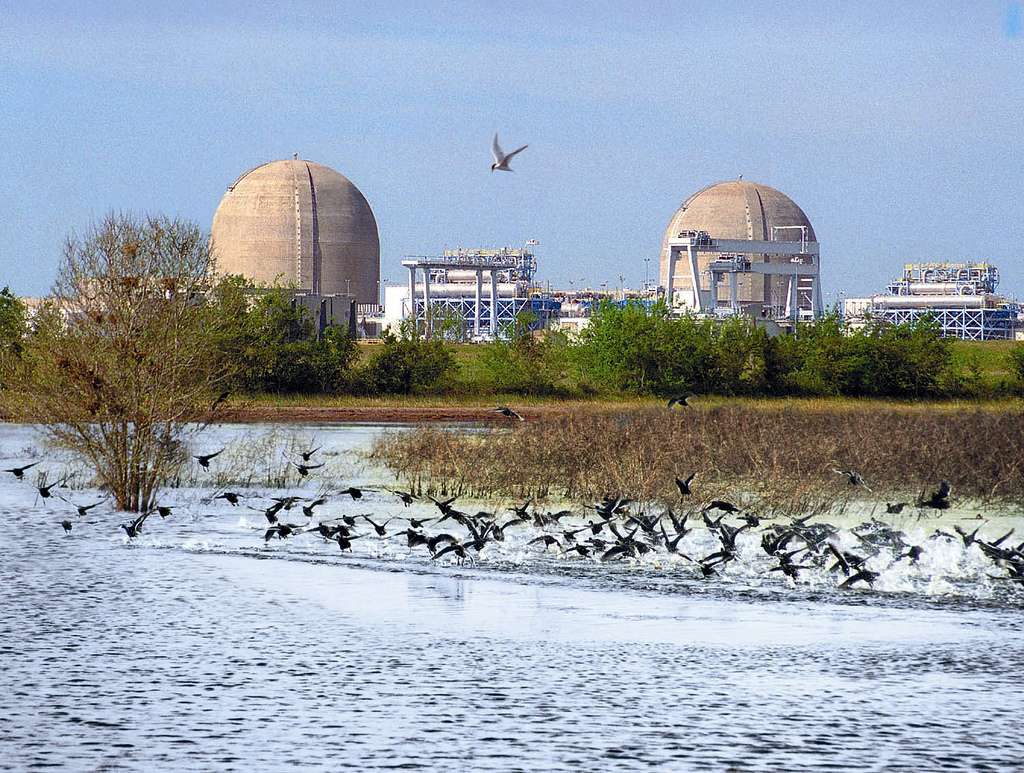 CPS Energy increases stake in Texas nuclear plant